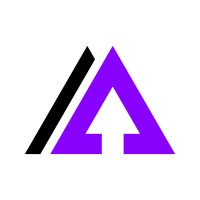 AVN Digital Media logo - Similar company to The Media Triangle (Tmt)