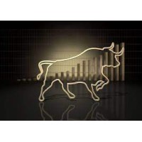 Forex Trader logo - Similar company to Professional Forex And Binary Options Trader