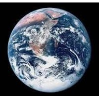 The World Organization