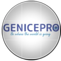 Genicepro Digital Solutions logo - Similar company to Back2Work4You
