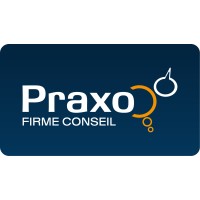 Praxo firme conseil logo - Similar company to Praxo