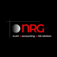 NRG Audit, Accounting and Risk Advisors Inc. logo - Similar company to Collabhive