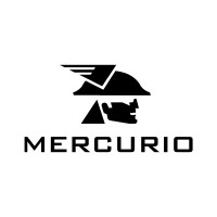 Mercurio Conveyor Belt logo - Similar company to Tecnomina