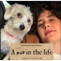 A pup in the life logo - Similar company to La Orange