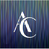 Almeida Consultoria logo - Similar company to Easydata Solutions