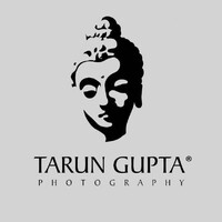 Tarun Gupta Photography logo - Similar company to Demof