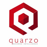 Quarzo BI logo - Similar company to Datameans