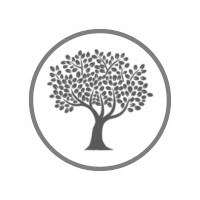 Green Olive Tree Llc
