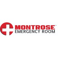 Montrose Emergency Room logo - Similar company to Excellence Er