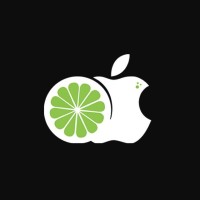 LEMON STORE BRASIL LTDA logo - Similar company to Lemon Brasil