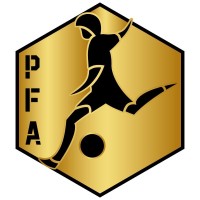 Professionnel Football Academie (PFA) logo - Similar company to Ocom'Ad Solution