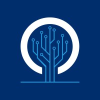 CO2 NETWORKS S.A. DE C.V. logo - Similar company to Advanced Infrastructure & Security Solutions (Aiss)