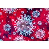 Paraytec Ltd logo - Similar company to Generationresearch