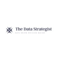 The Data Strategist logo - Similar company to Intellectus Campus