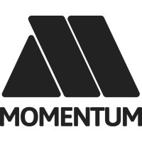 Momentum Solutions Egypt logo - Similar company to Flighthub