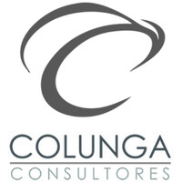 COLUNGA CONSULTORES logo - Similar company to Domicile Developments Inc.