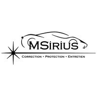 MSIRIUS logo - Similar company to Salernoformazione