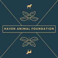 Haven Animal Foundation logo - Similar company to Now For Wildlife