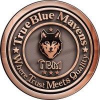 TrueBlue Mavens Healthcare Pvt Ltd. logo - Similar company to Learndrive
