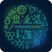 Ibworldwide Academy logo - Similar company to Bespoke Education