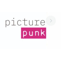 PICTUREPUNK logo - Similar company to Dropin-Tv Gmbh
