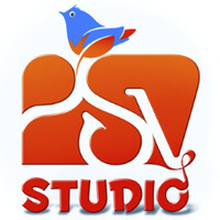PSV Game Studio logo - Similar company to 3D Cgi Service