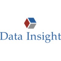 Data Insight logo - Similar company to Data Analytics Agency