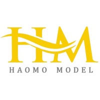 Shanghai Haomo Model Co., Ltd. logo - Similar company to Isolet Llc