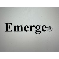 Emerge Inc. - the transformation innovation advisory logo - Similar company to Uplifty Ai