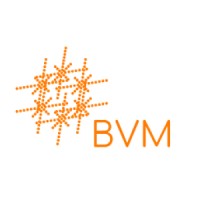BVMax logo - Similar company to Trushift Digital