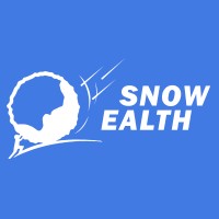 Snowealth logo - Similar company to Sn Wealth