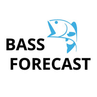 Bass Forecast logo - Similar company to Anglr