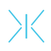 CodeBlue Consulting logo - Similar company to Reasonate