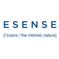 E-SENSE Business Solutions logo - Similar company to Comuno Uruguay