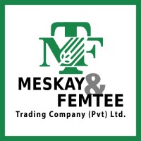 Meskay & Femtee Trading Company (Pvt.) Ltd logo - Similar company to Sr Technologies