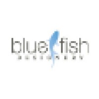 Bluefish Designery