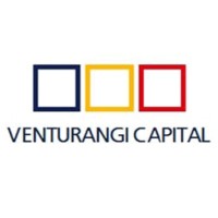 Venturangi Capital S.A. logo - Similar company to Ibvest Vehículos De Inversión