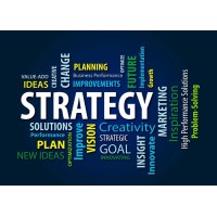 True Business Strategies logo - Similar company to Global Innovation Dynamics