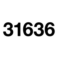 31636 logo - Similar company to Rebelstudio