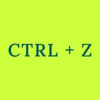 Ctrl+z logo - Similar company to Riyo Llc