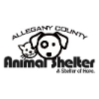Allegany County Animal Shelter Management Foundation