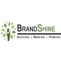 Brand Shine Info Solutions logo - Similar company to Truhomes Experts