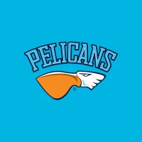 Lahden Pelicans Oy logo - Similar company to Tappara Ry