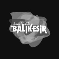 Hayat Dolu Balıkesir logo - Similar company to Hi̇sarpen A.Ş.