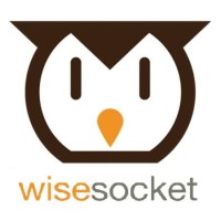 WiseSocket logo - Similar company to Ketch