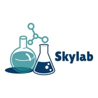 Skylab Consulting Inc. logo - Similar company to Skylab