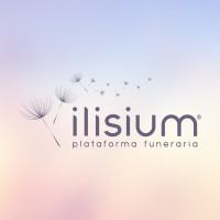 ilisium Group logo - Similar company to Manetch