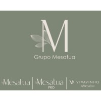 Mesatua logo - Similar company to Mindelev