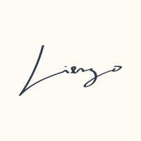 Lienzo logo - Similar company to Criterion S.A