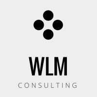 WLMConsulting logo - Similar company to Wlm Consulting Sas